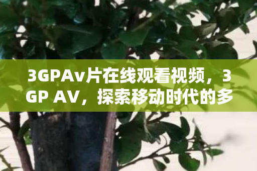 3GPAv片在线观看视频，3GP AV，探索移动时代的多媒体内容