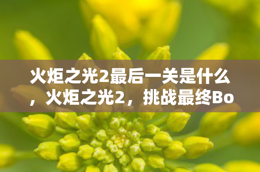 火炬之光2最后一关是什么，火炬之光2，挑战最终Boss的终极攻略