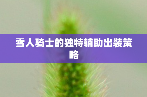 雪人骑士的独特辅助出装策略