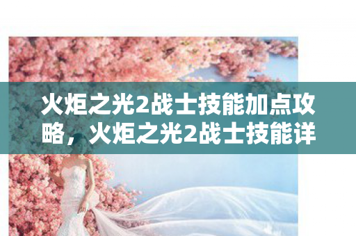 火炬之光2战士技能加点攻略，火炬之光2战士技能详解