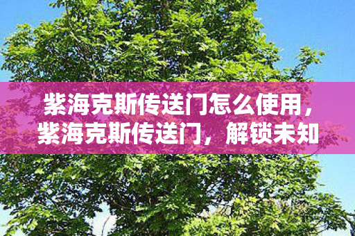 紫海克斯传送门怎么使用，紫海克斯传送门，解锁未知世界的神秘通道