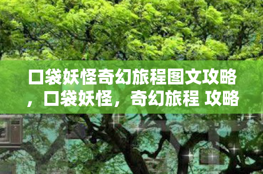 口袋妖怪奇幻旅程图文攻略，口袋妖怪，奇幻旅程 攻略