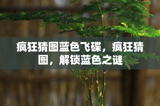 疯狂猜图蓝色飞碟，疯狂猜图，解锁蓝色之谜