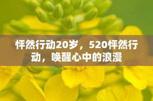 怦然行动20岁，520怦然行动，唤醒心中的浪漫