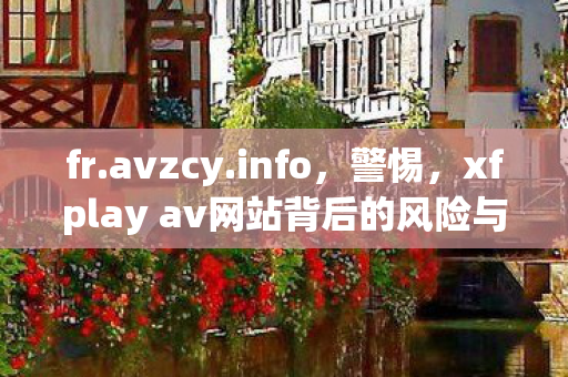 fr.avzcy.info，警惕，xfplay av网站背后的风险与危害