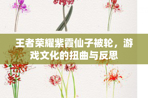 王者荣耀紫霞仙子被轮，游戏文化的扭曲与反思