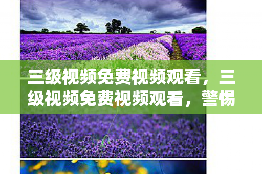 三级视频免费视频观看，三级视频免费视频观看，警惕网络色情陷阱
