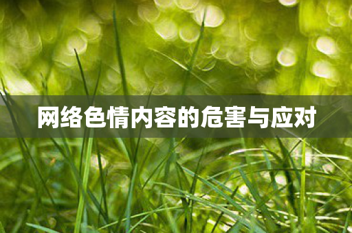 网络色情内容的危害与应对