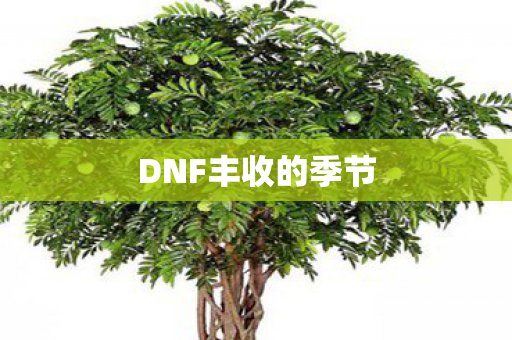 DNF丰收的季节