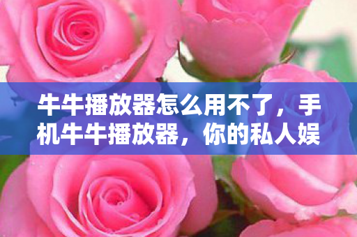 牛牛播放器怎么用不了，手机牛牛播放器，你的私人娱乐小助手