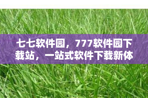 七七软件园，777软件园下载站，一站式软件下载新体验