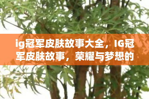 ig冠军皮肤故事大全，IG冠军皮肤故事，荣耀与梦想的交织