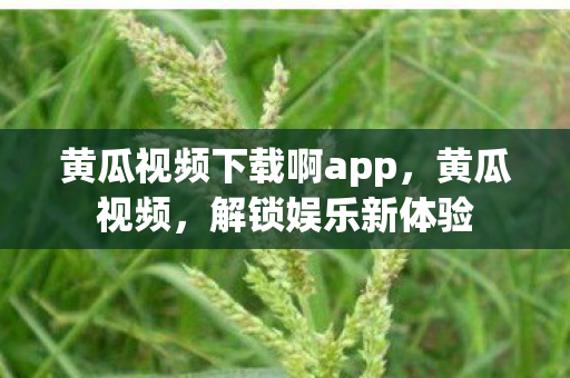黄瓜视频下载啊app，黄瓜视频，解锁娱乐新体验