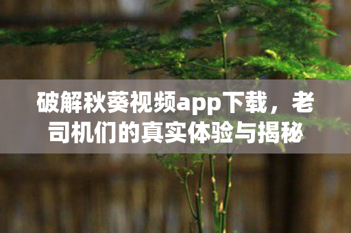 破解秋葵视频app下载，老司机们的真实体验与揭秘