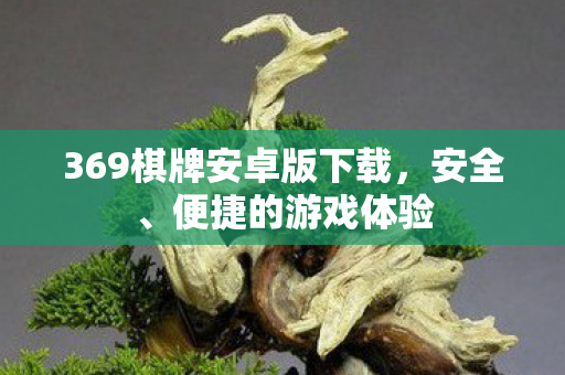 369棋牌安卓版下载，安全、便捷的游戏体验