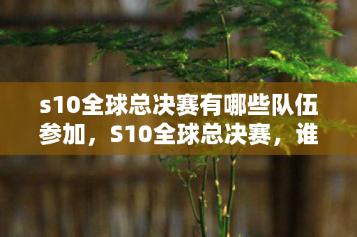 s10全球总决赛有哪些队伍参加，S10全球总决赛，谁将在这场电竞盛宴中脱颖而出？