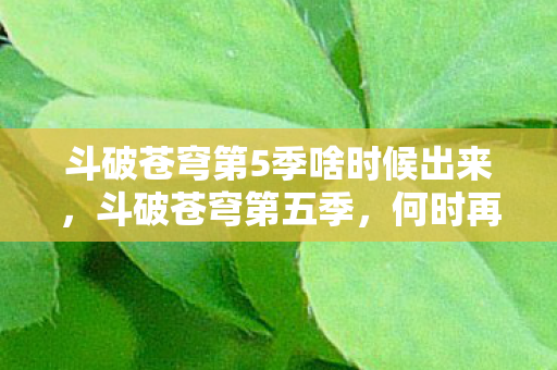 斗破苍穹第5季啥时候出来，斗破苍穹第五季，何时再现斗气大陆的辉煌？