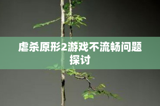 虐杀原形2游戏不流畅问题探讨