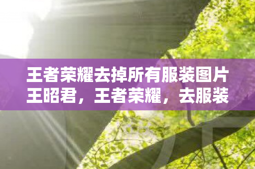 王者荣耀去掉所有服装图片王昭君，王者荣耀，去服装化背后的文化意义与游戏变革