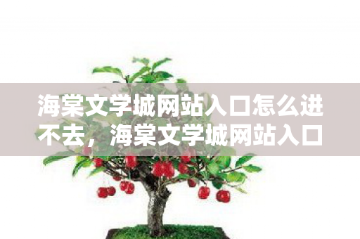 海棠文学城网站入口怎么进不去，海棠文学城网站入口怎么进