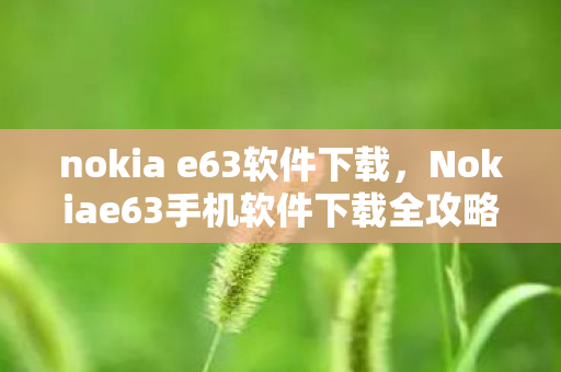 nokia e63软件下载，Nokiae63手机软件下载全攻略，解锁你的智能手机潜力