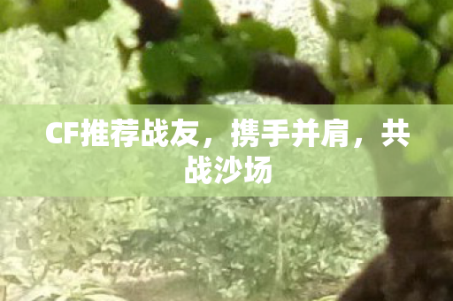 CF推荐战友，携手并肩，共战沙场