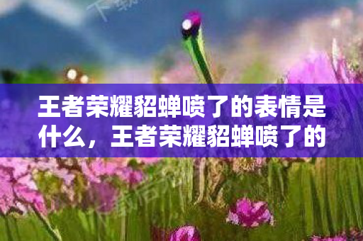 王者荣耀貂蝉喷了的表情是什么，王者荣耀貂蝉喷了的表情，游戏中的情绪表达与角色塑造