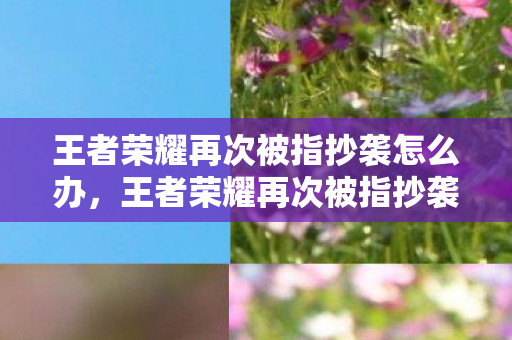 王者荣耀再次被指抄袭怎么办，王者荣耀再次被指抄袭，原创与模仿的界限何在？