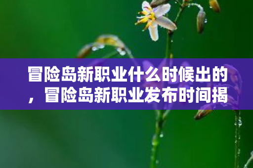 冒险岛新职业什么时候出的，冒险岛新职业发布时间揭秘，期待与猜测的交汇点