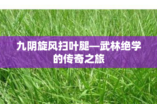 九阴旋风扫叶腿—武林绝学的传奇之旅