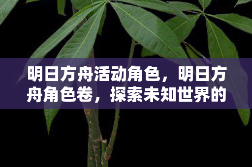 明日方舟活动角色，明日方舟角色卷，探索未知世界的神秘力量