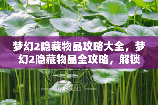 梦幻2隐藏物品攻略大全，梦幻2隐藏物品全攻略，解锁未知宝藏的秘诀