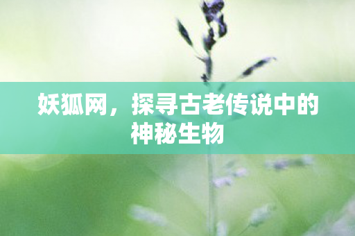 妖狐网，探寻古老传说中的神秘生物