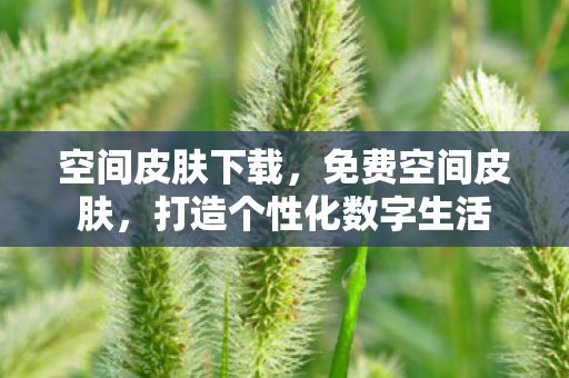 空间皮肤下载，免费空间皮肤，打造个性化数字生活