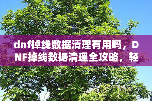 dnf掉线数据清理有用吗，DNF掉线数据清理全攻略，轻松解决掉线烦恼