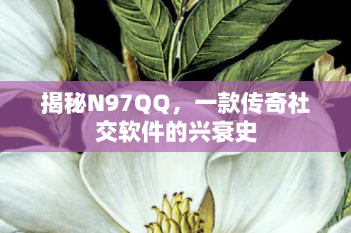 揭秘N97QQ，一款传奇社交软件的兴衰史