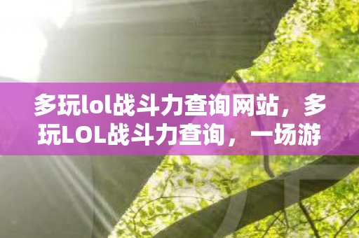 多玩lol战斗力查询网站，多玩LOL战斗力查询，一场游戏数据的深度剖析