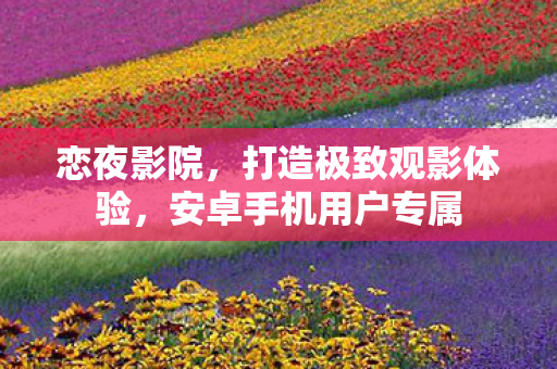 恋夜影院，打造极致观影体验，安卓手机用户专属