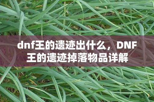 dnf王的遗迹出什么，DNF王的遗迹掉落物品详解