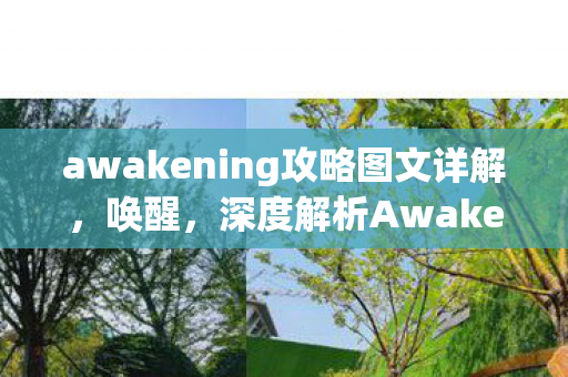 awakening攻略图文详解，唤醒，深度解析Awakening游戏攻略
