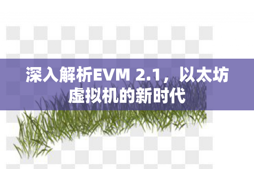 深入解析EVM 2.1，以太坊虚拟机的新时代