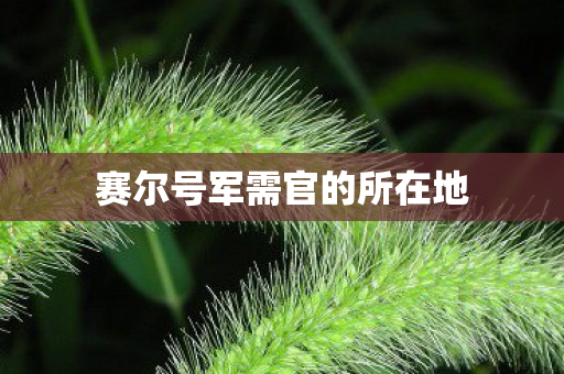 赛尔号军需官的所在地 赛尔号军需官的所在地