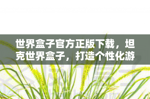 世界盒子官方正版下载，坦克世界盒子，打造个性化游戏世界的必备神器