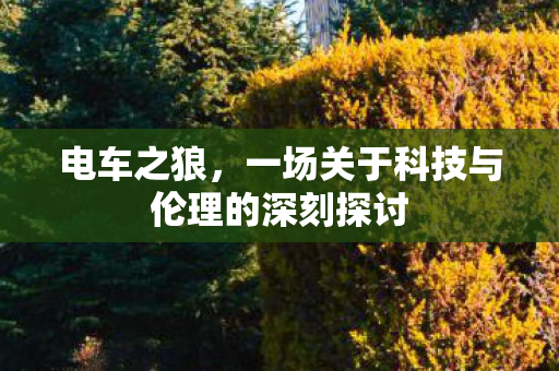 电车之狼，一场关于科技与伦理的深刻探讨