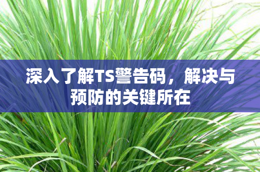 深入了解TS警告码,解决与预防的关键所在 深入了解TS警告码,解决与预防的关键所在