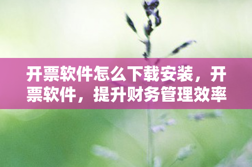 开票软件怎么下载安装，开票软件，提升财务管理效率的关键工具