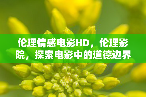 伦理情感电影HD，伦理影院，探索电影中的道德边界