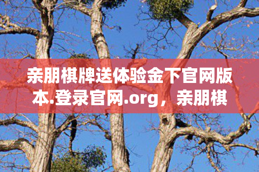 亲朋棋牌送体验金下官网版本.登录官网.org，亲朋棋牌，连接情感的桥梁