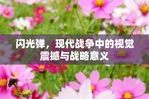 闪光弹,现代战争中的视觉震撼与战略意义 闪光弹,现代战争中的视觉震撼与战略意义