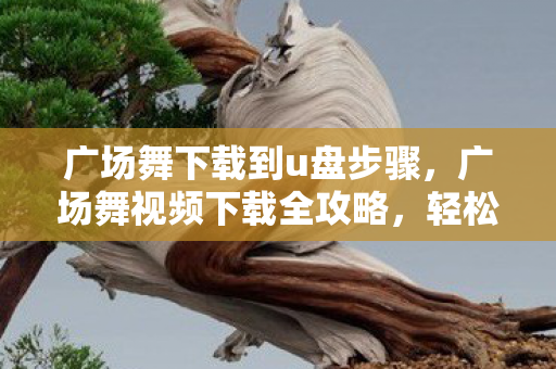广场舞下载到u盘步骤,广场舞视频下载全攻略,轻松获取优质资源 广场舞下载到u盘步骤,广场舞视频下载全攻略,轻松获取优质资源